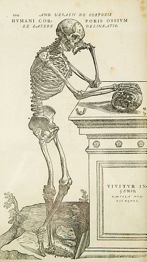 Skeleton Website